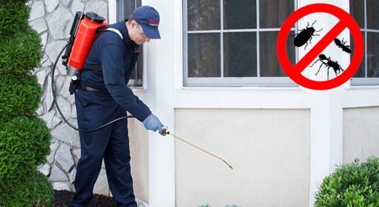 Dalaman Tahtakurusu İlaçlama böcek ilaçlama ve haşere kontrolü — ilaclama-tr.com